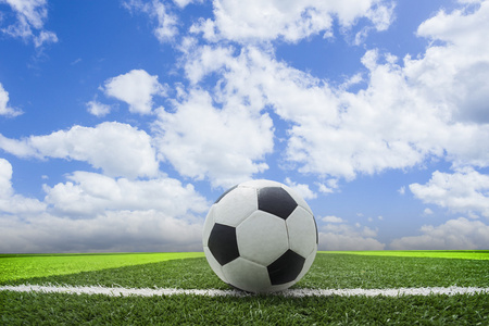 海外留学生关注本土赛事场景